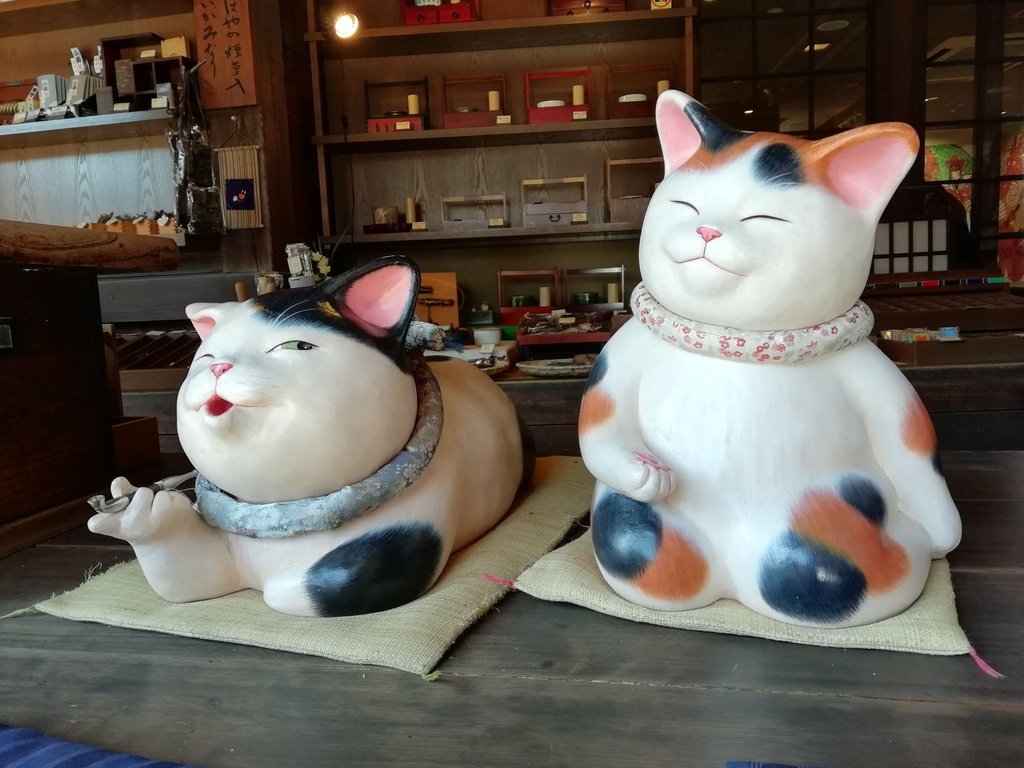 Traveler planning day trips from Kyoto with questions