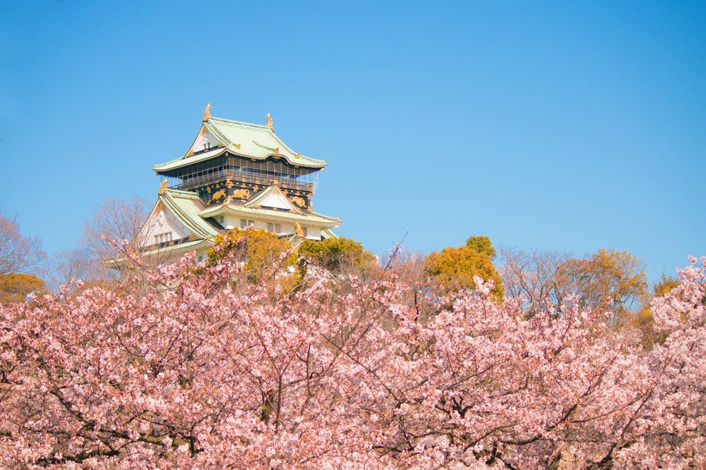 Best seasons to visit Osaka with cherry blossoms