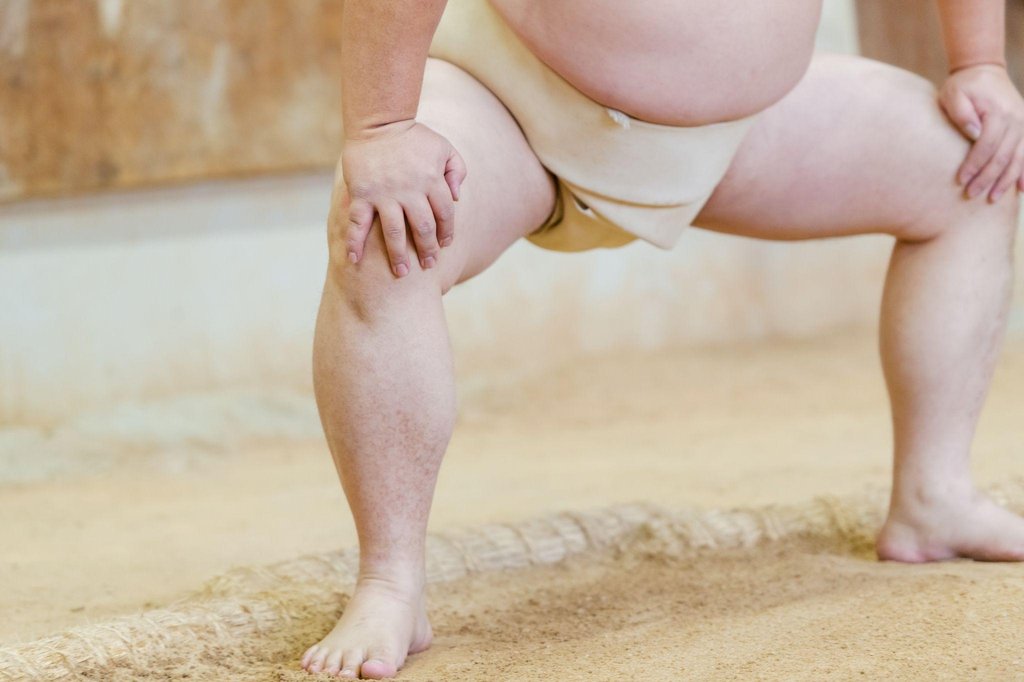 Exciting sumo wrestling action