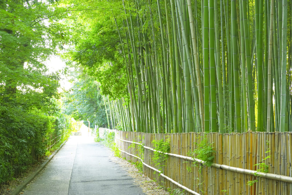 Arashiyama