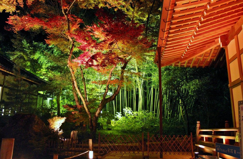 Best seasons to visit Osaka and Kyoto