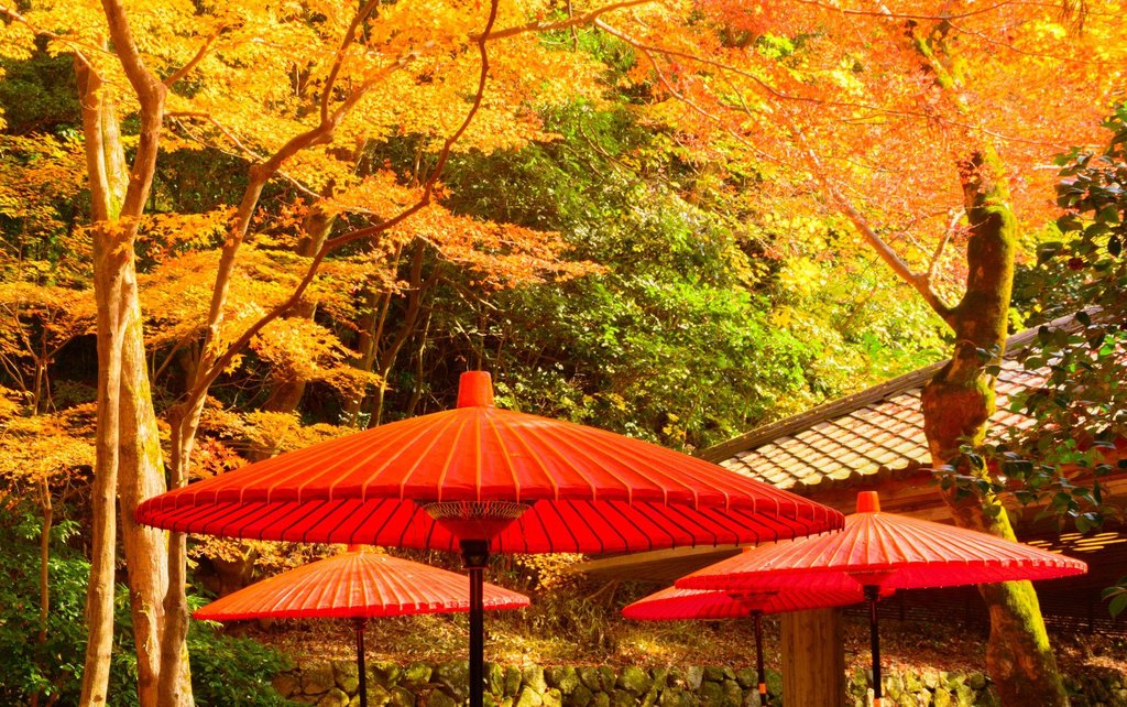Traditional Japanese experience in Kyoto