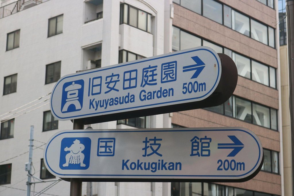 International visitors experiencing sumo in Tokyo