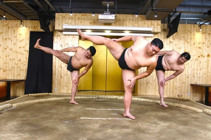 The Fundamentals of Sumo Training