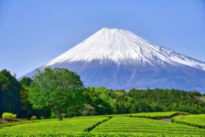 The Complete Guide to Japan Travel 2026: Everything First-Time Visitors Need to Know