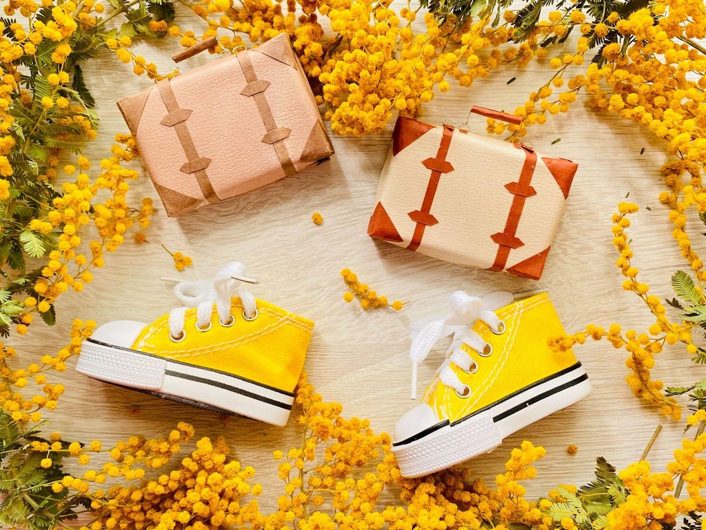 Japan travel planning timeline and preparation checklist