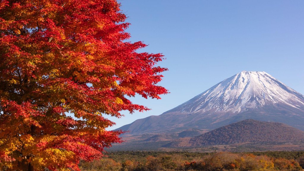 Autumn foliage season in Japan travel