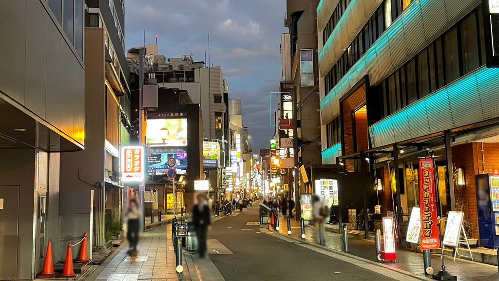 Kitashinchi entertainment district in Osaka