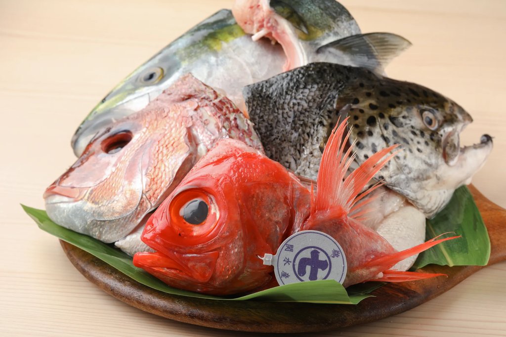 Live fish tank at Kaisen Sakaba Uopuku izakaya