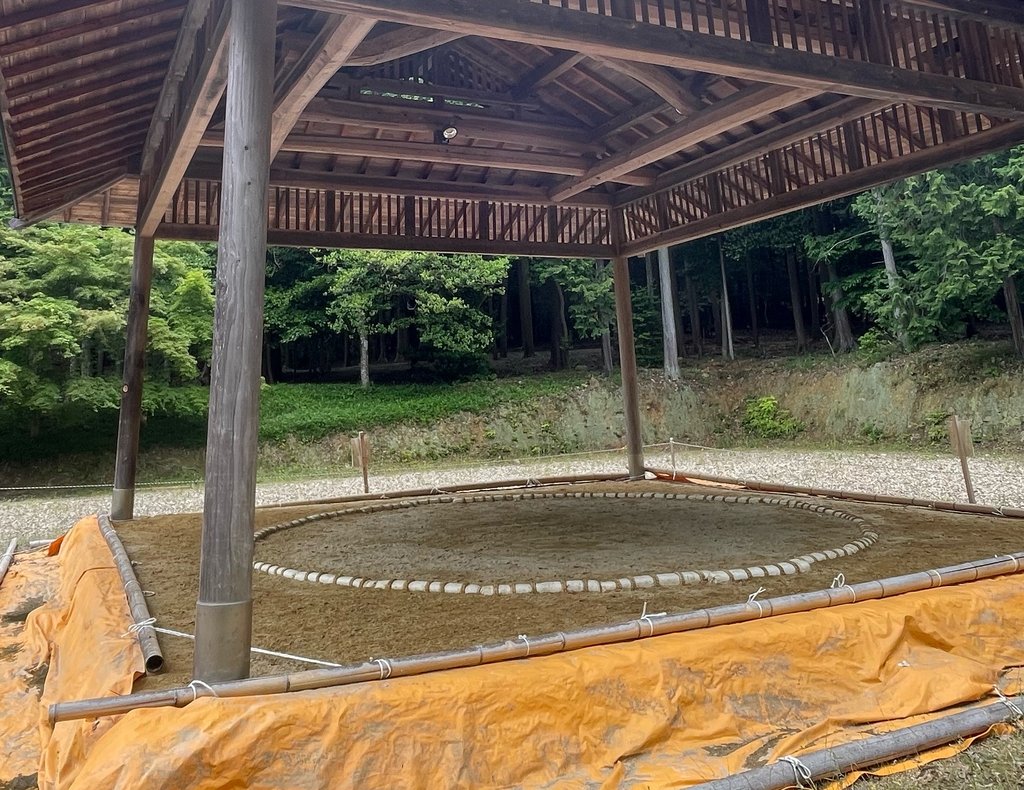 Sumo wrestlers in different ranks at tournament