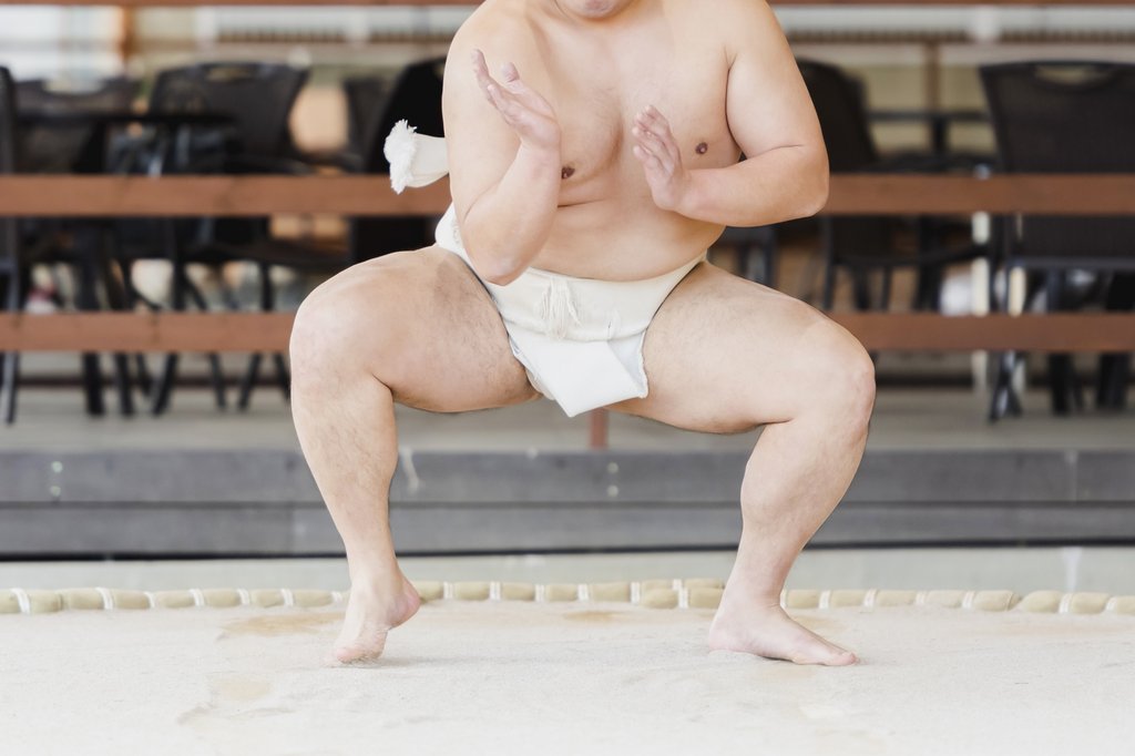 Sumo wrestler salary breakdown by rank
