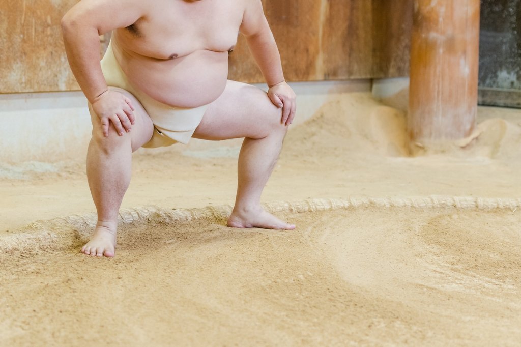 Sumo wrestlers competing in professional tournament