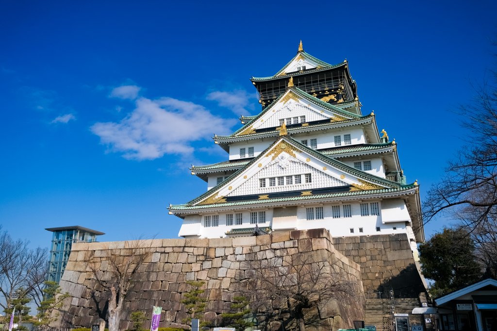 Osaka Castle Tenshukaku with cherry blossoms