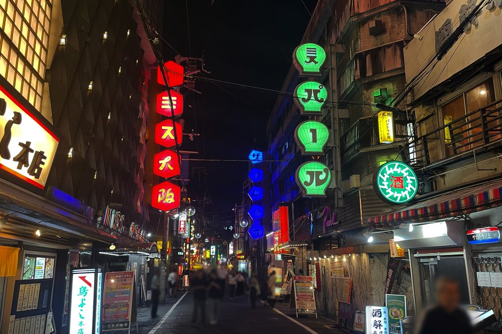 Guided night tour group in Osaka