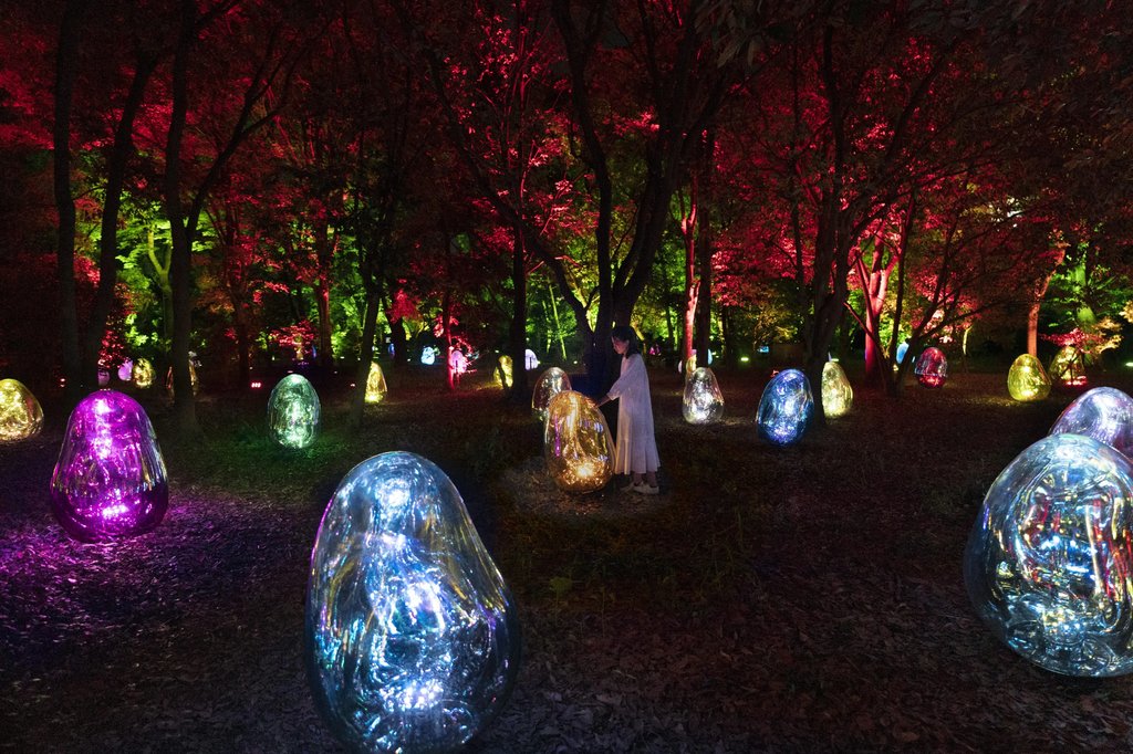 teamLab digital art installation at night in Osaka