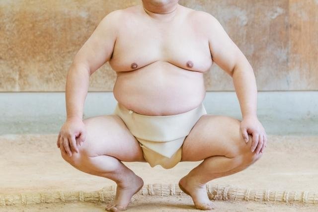 Sumo tournament viewing etiquette and manners