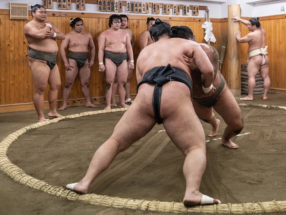 Sumo morning practice at Tokyo stable