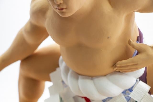 Sumo wrestling show at Sumo Studio Osaka