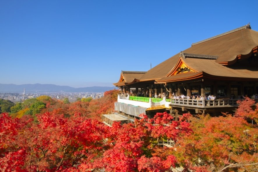 Kyoto temples and shrines day trip from Osaka