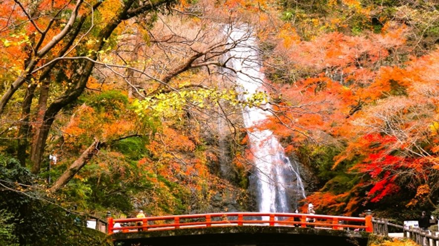 Minoh Otaki waterfall cascading down forest cliff
