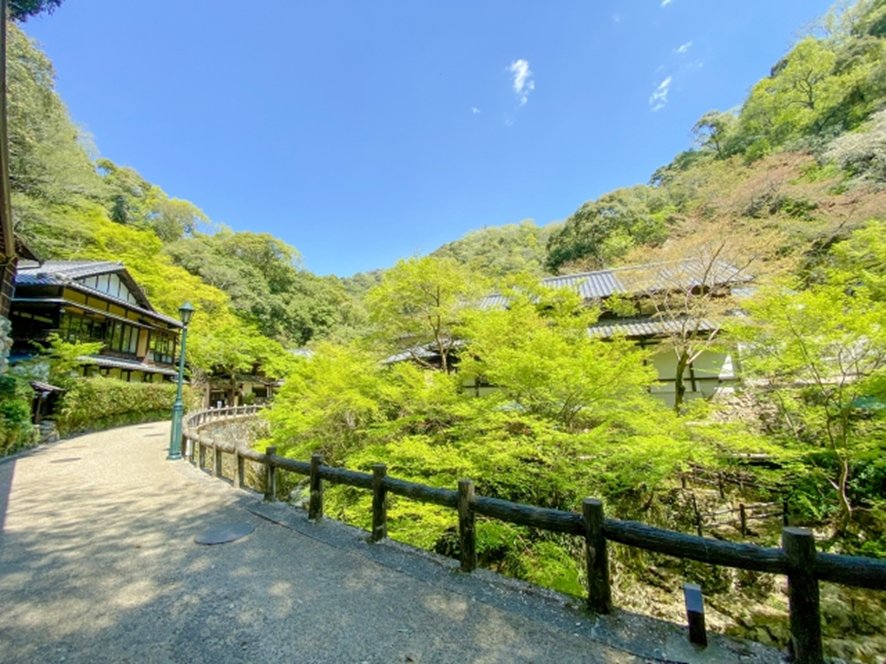Minoh valley hike and Nakazakicho backstreet itinerary