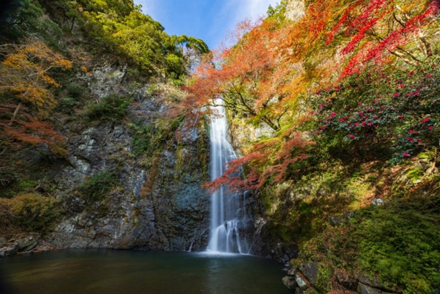 Minoh Otaki waterfall surrounded by forest