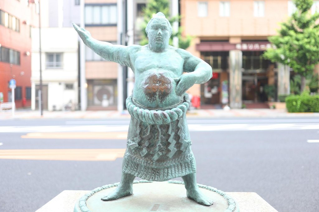 Professional sumo development during Edo period Japan