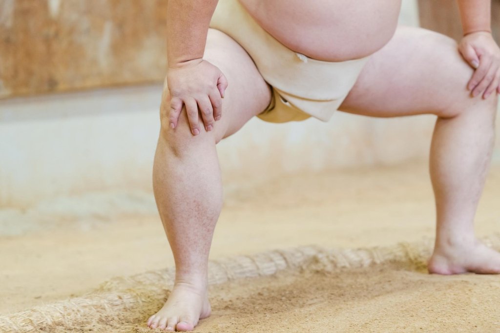 Modernization of sumo institutions from Meiji era to postwar period