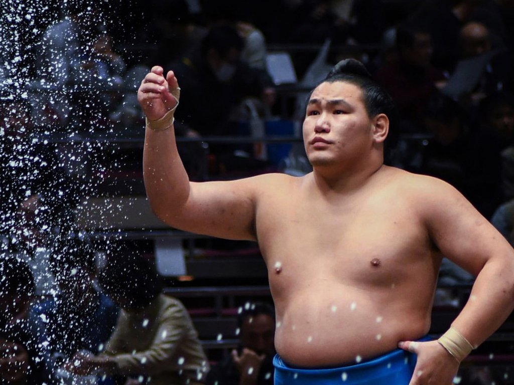 Tatsunami Stable official photo