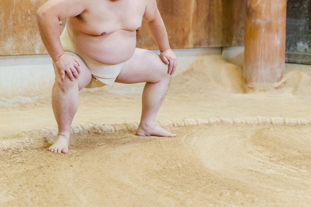 Guided tour at a sumo stable