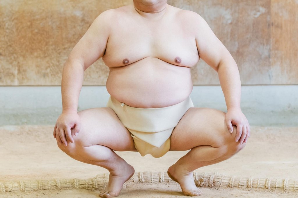 Visitors observing sumo practice quietly