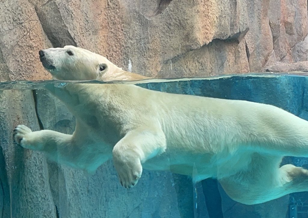 Tennoji Zoo near Janjan Yokocho