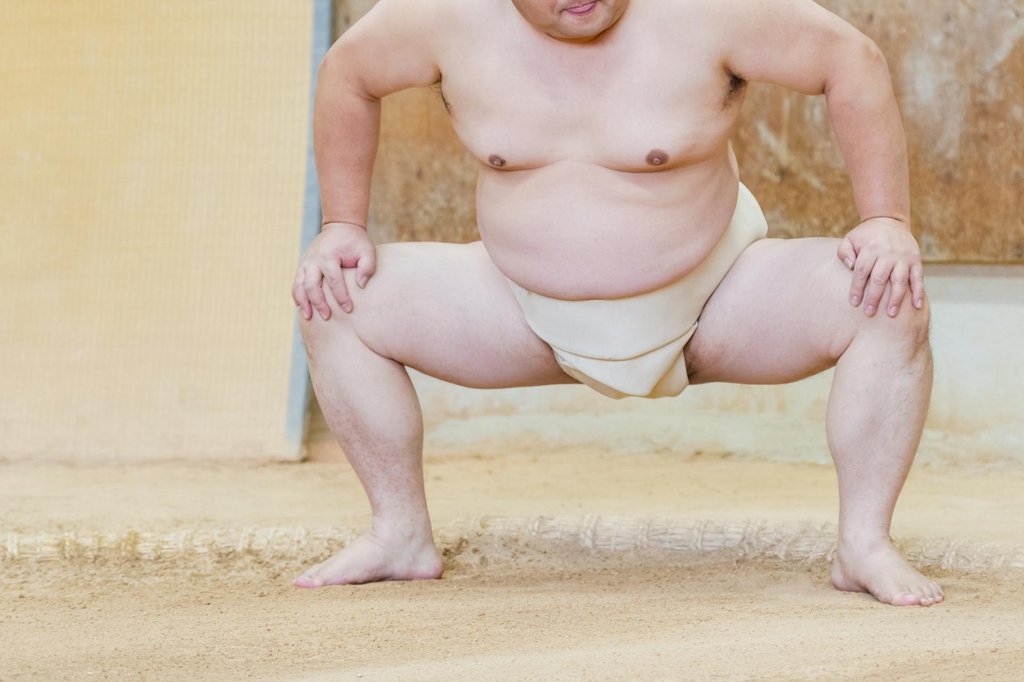 Sumo wrestlers competing in tournament match