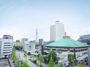 How to Get Sumo Tickets in Tokyo: Buying in English, Seat Types, and What to Do When Dates Sell Out