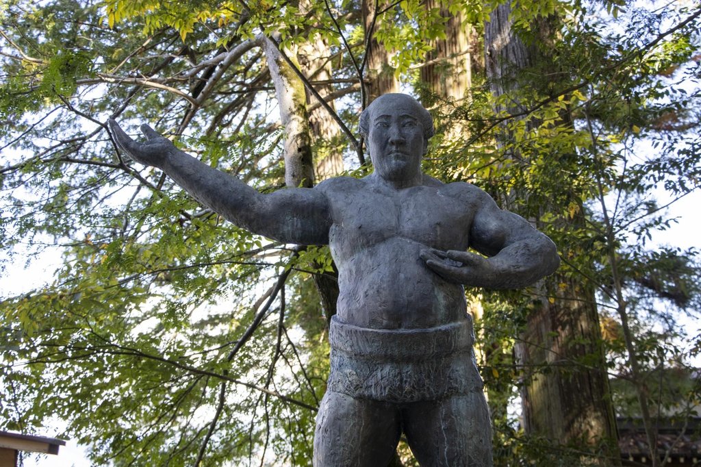 Grand sumo honbasho experience across Japan's major cities