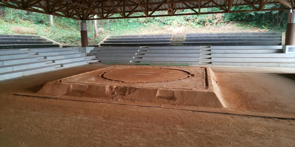 Comparison of different sumo viewing options in Japan